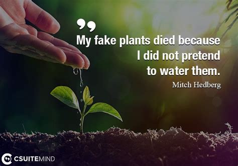 you stood by and watched me water a fake plant|My fake plants died because I did not pretend to water them..